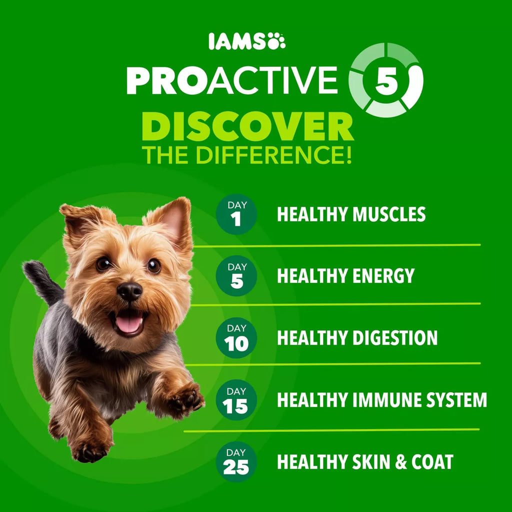 IAMS Proactive Health Chicken and Whole Grains Flavor Small Breed Dry Dog Food