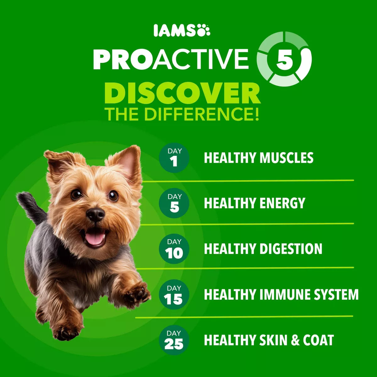 IAMS Proactive Health Chicken and Whole Grains Flavor Small Breed Dry Dog Food