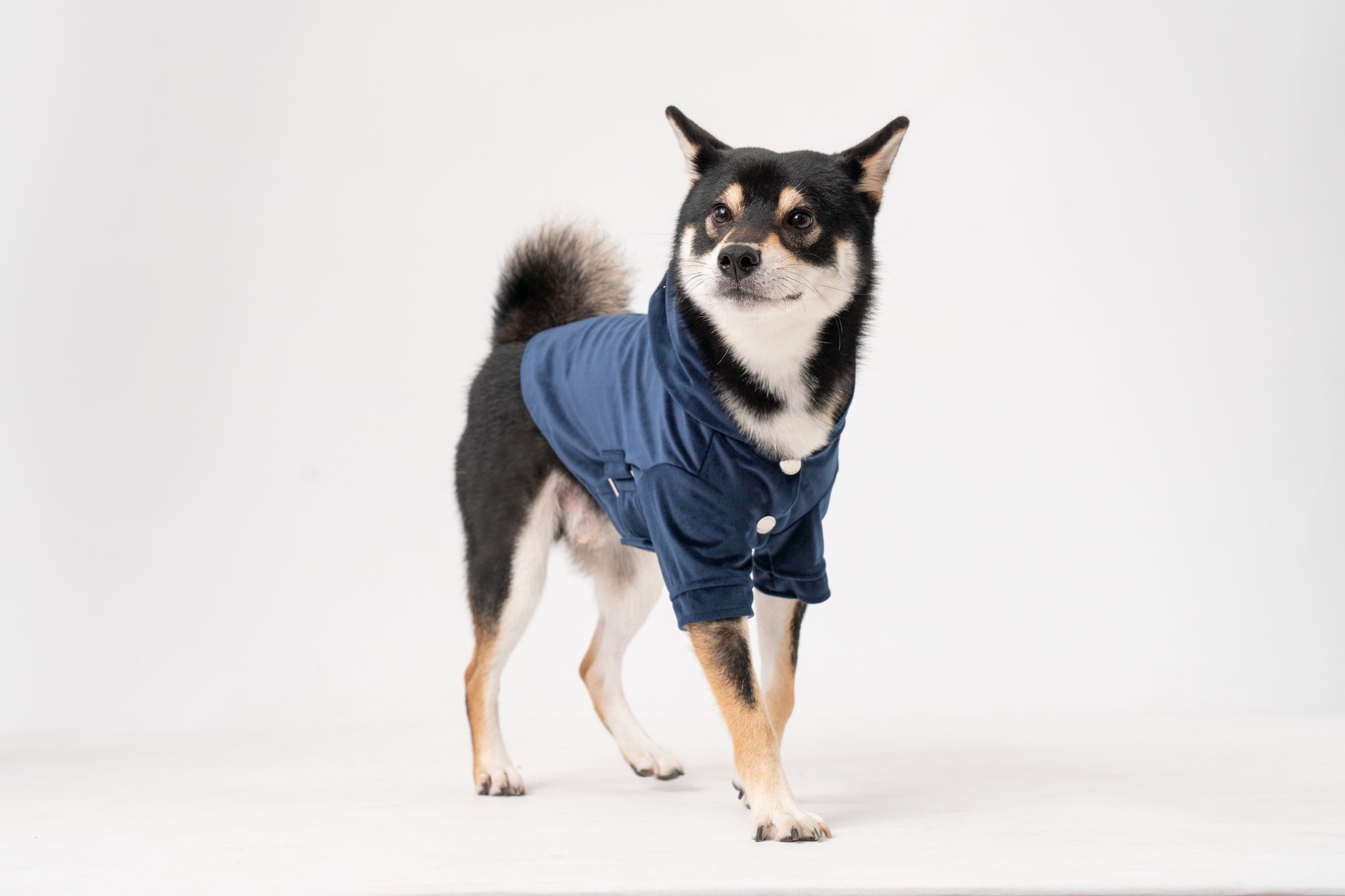 HUSTON HOODIE - MIDNIGHT BLUE - ThrivingPets