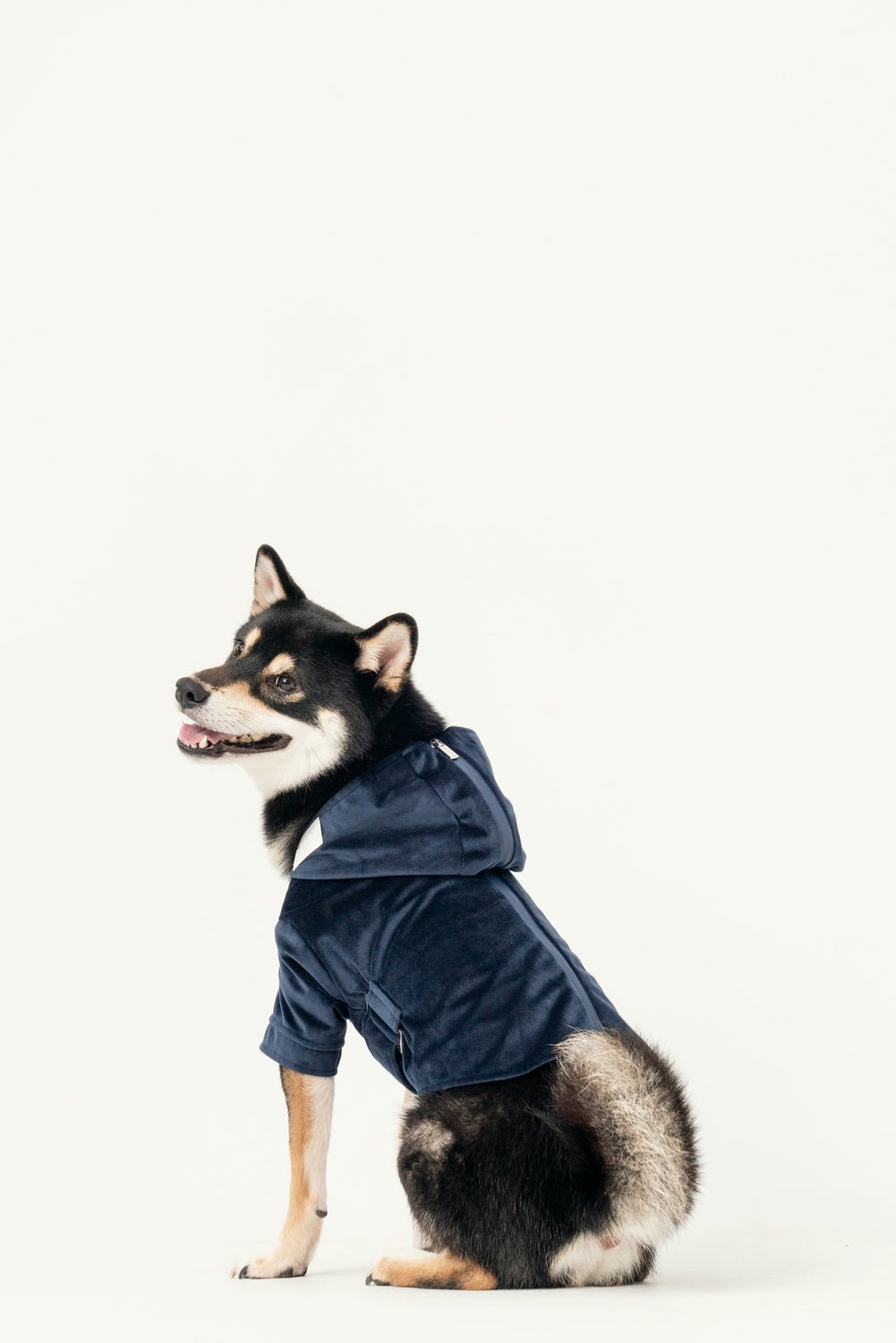 HUSTON HOODIE - MIDNIGHT BLUE - ThrivingPets