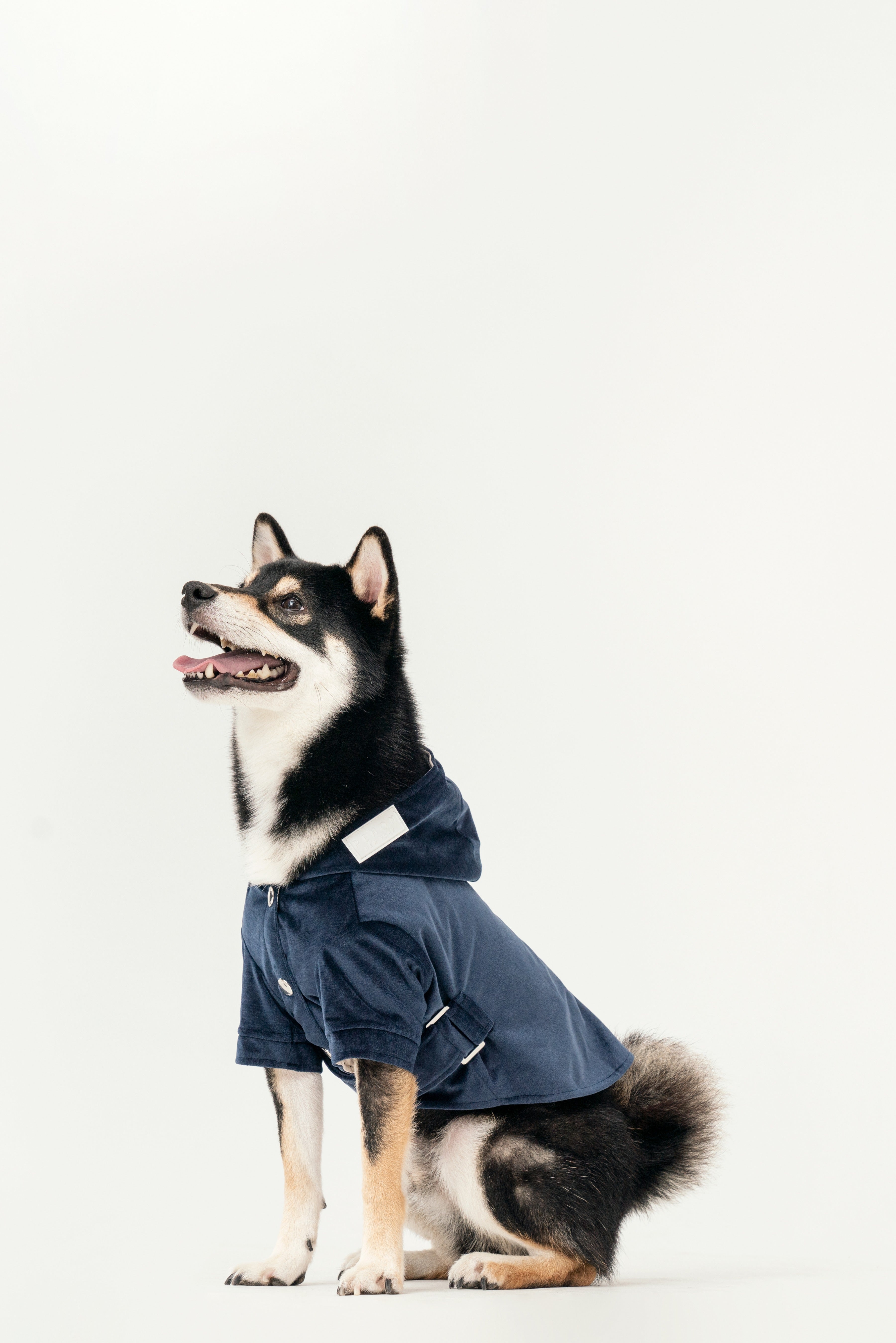 HUSTON HOODIE - MIDNIGHT BLUE - ThrivingPets