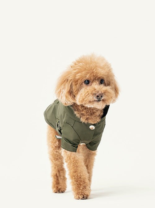 BOWERY RAINCOAT - GREEN - ThrivingPets