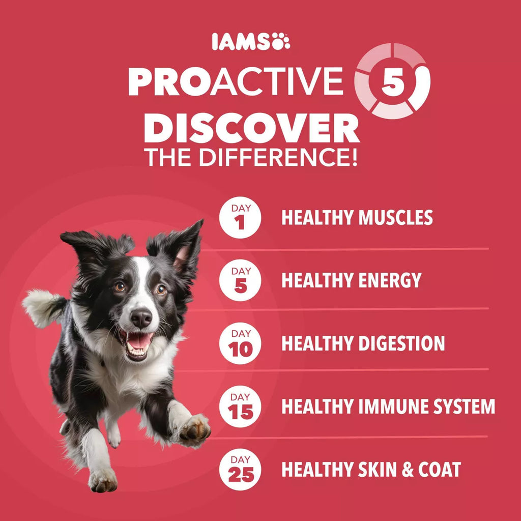 IAMS Proactive Health Minichunks Lamb and Rice Flavor Dry Dog Food