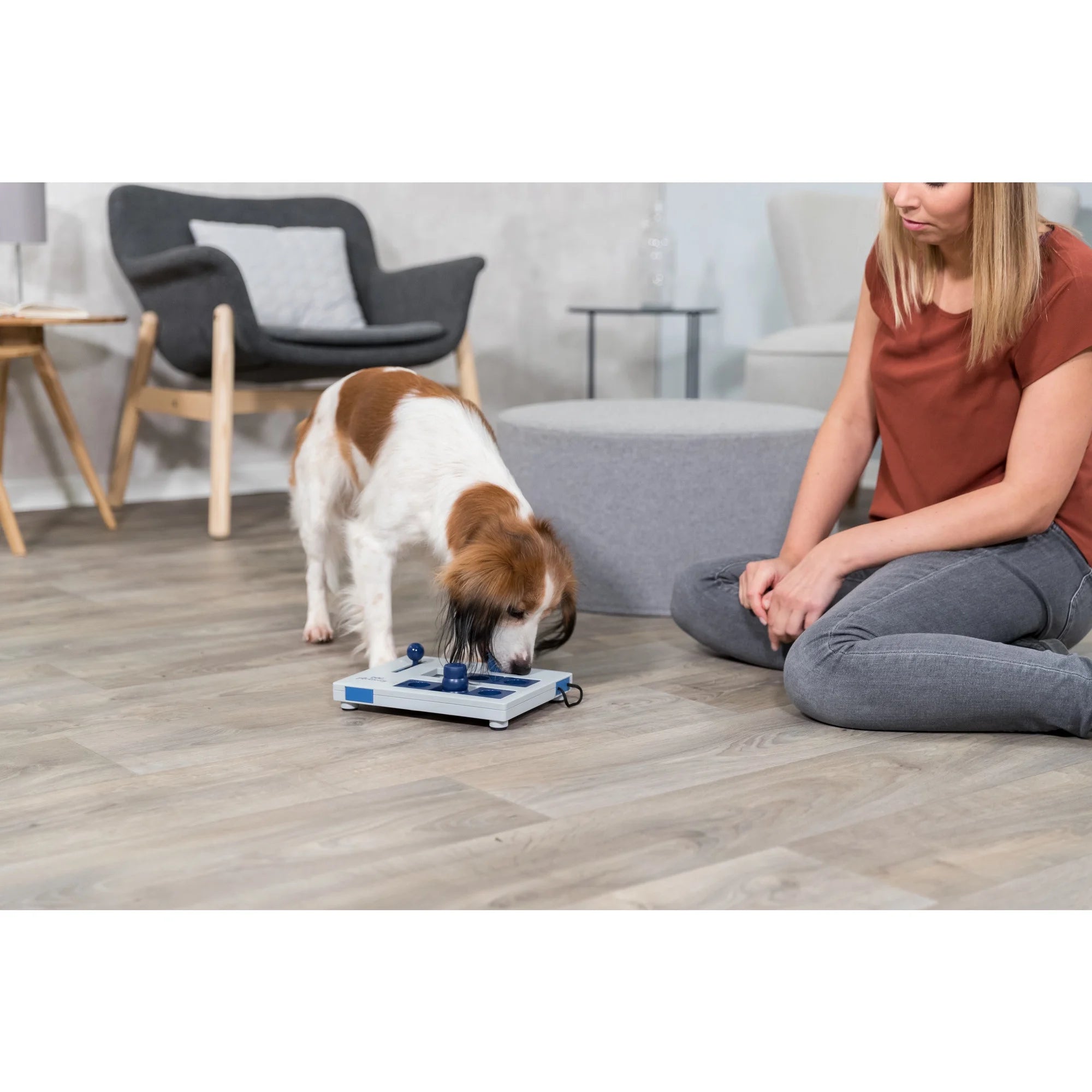 Interactive Dog Activity Puzzle Game - Level 2 Treat Dispenser for Fun & Engagement