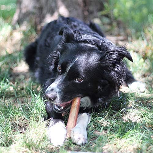 100% Natural Brazilian Bully Sticks - 1 lb Bag 10.00% Off Auto renew - ThrivingPets