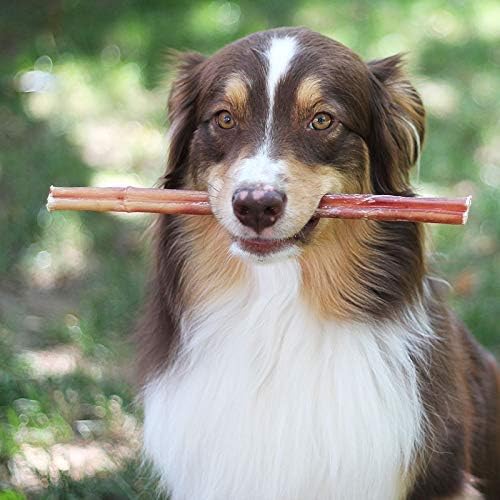 Brazilian Grass - Fed Beef Bully Sticks - ThrivingPets