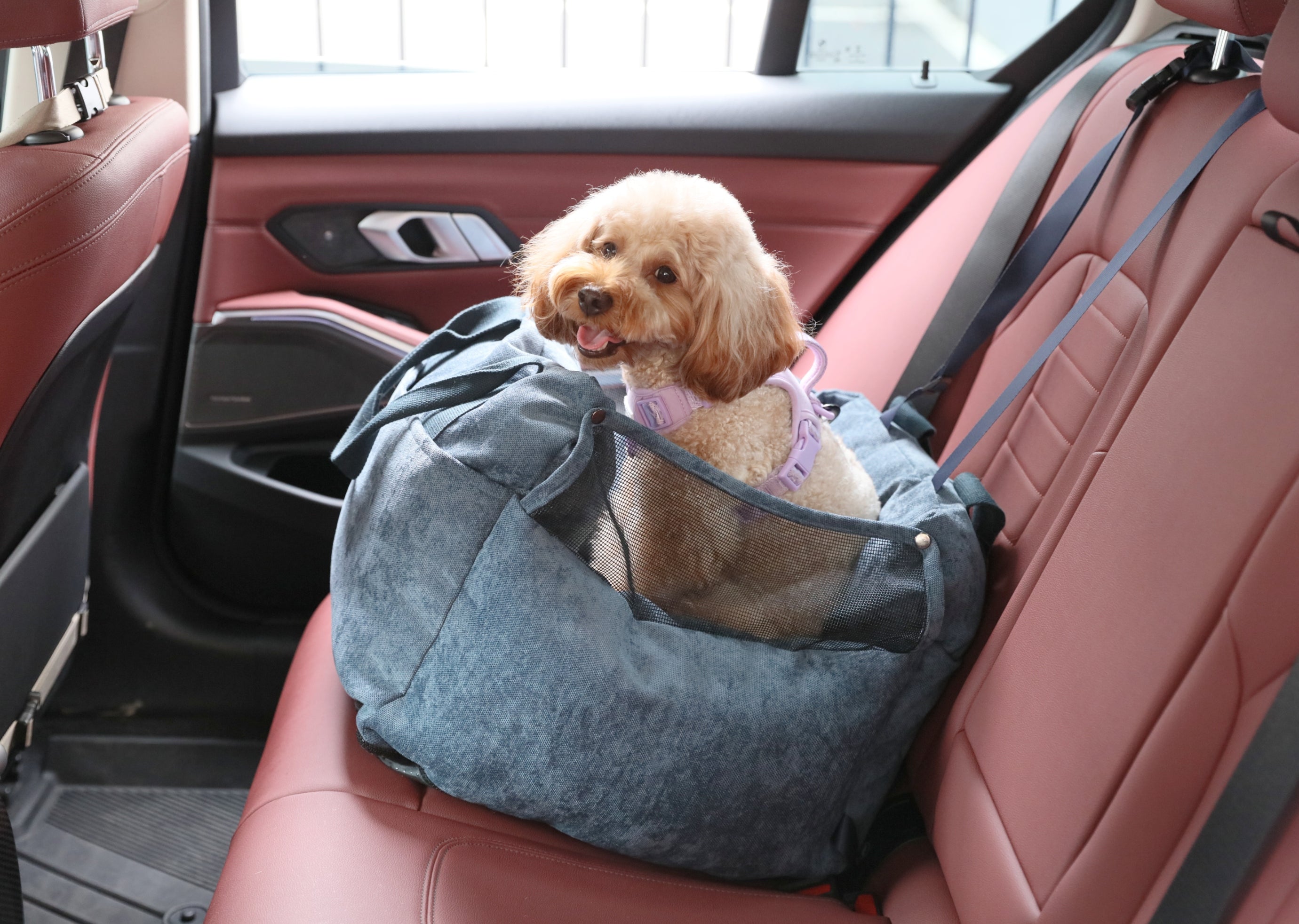 Puff Guard Dog Car Seat - Blue - ThrivingPets
