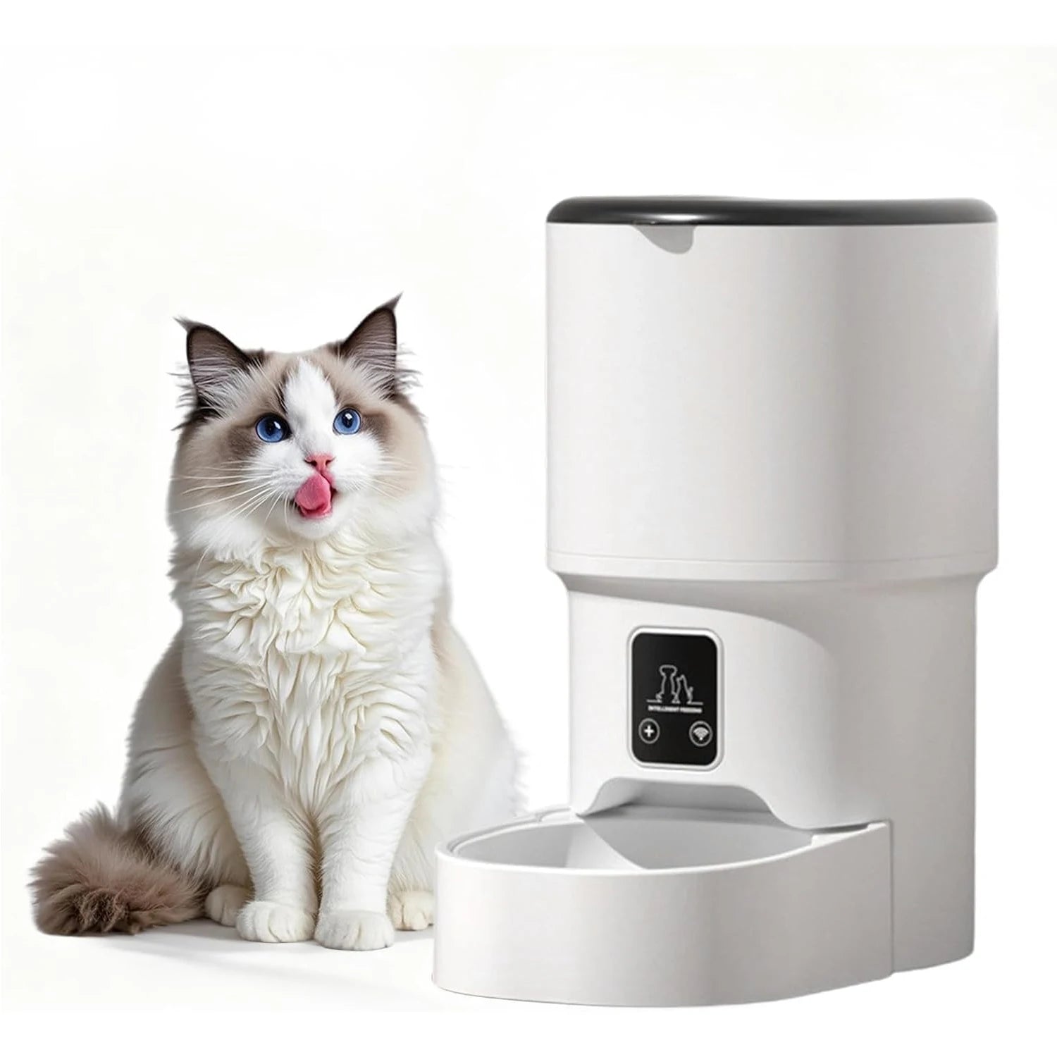 4L Programmable Automatic Pet Feeder for Small Dogs and Cats 6 Meals Daily Timer & Portion Control Dual Power with Bowl
