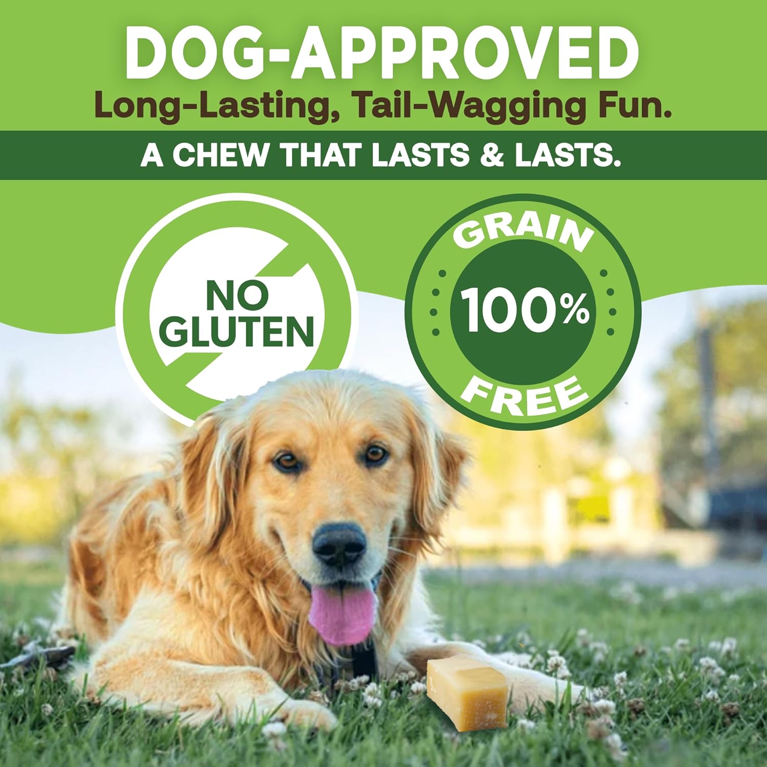 Gold Yak Chews for Small Dogs (4 - 75 sticks) - ThrivingPets