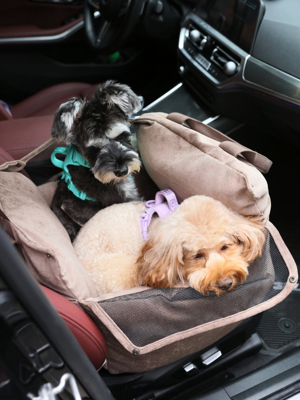 Puff Guard Dog Car Seat - Blue - ThrivingPets