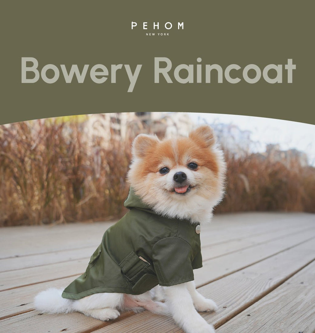 BOWERY RAINCOAT - GREEN - ThrivingPets