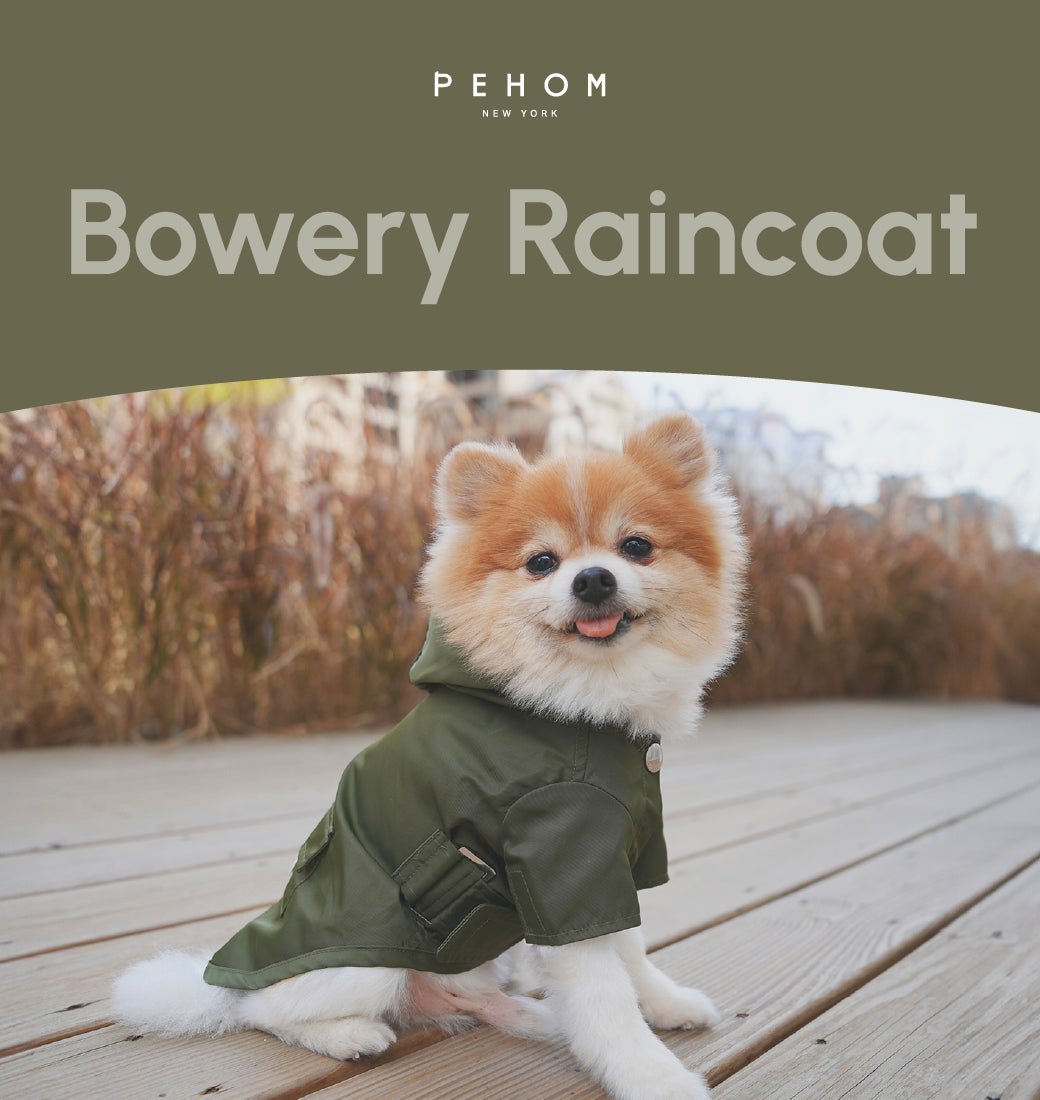BOWERY RAINCOAT - GREEN - ThrivingPets