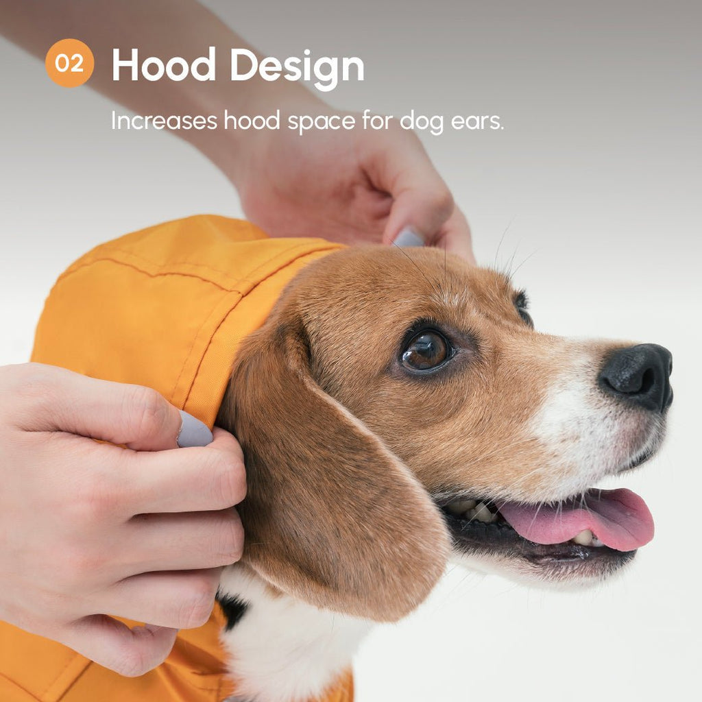BOWERY RAINCOAT - GREEN - ThrivingPets