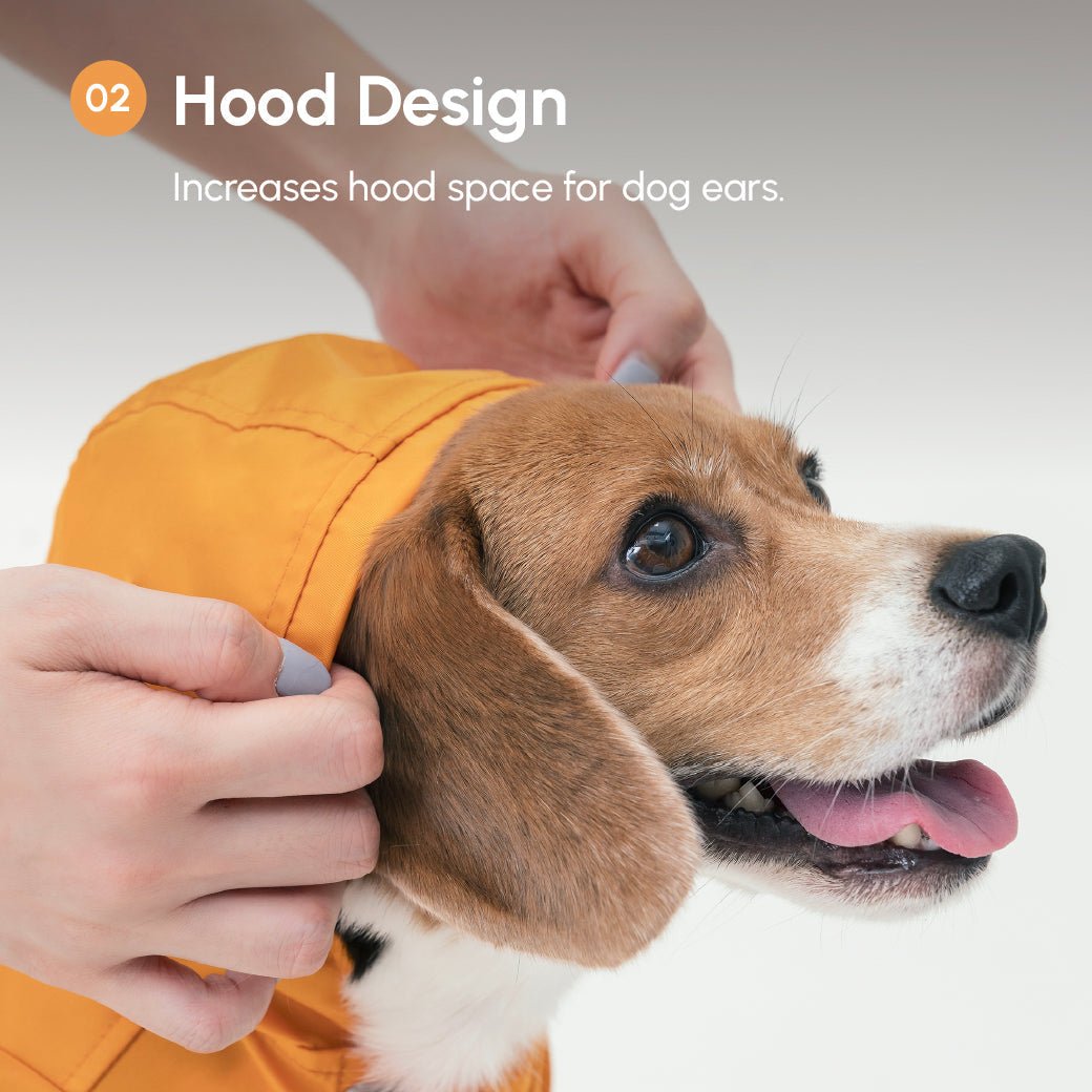 BOWERY RAINCOAT - GREEN - ThrivingPets