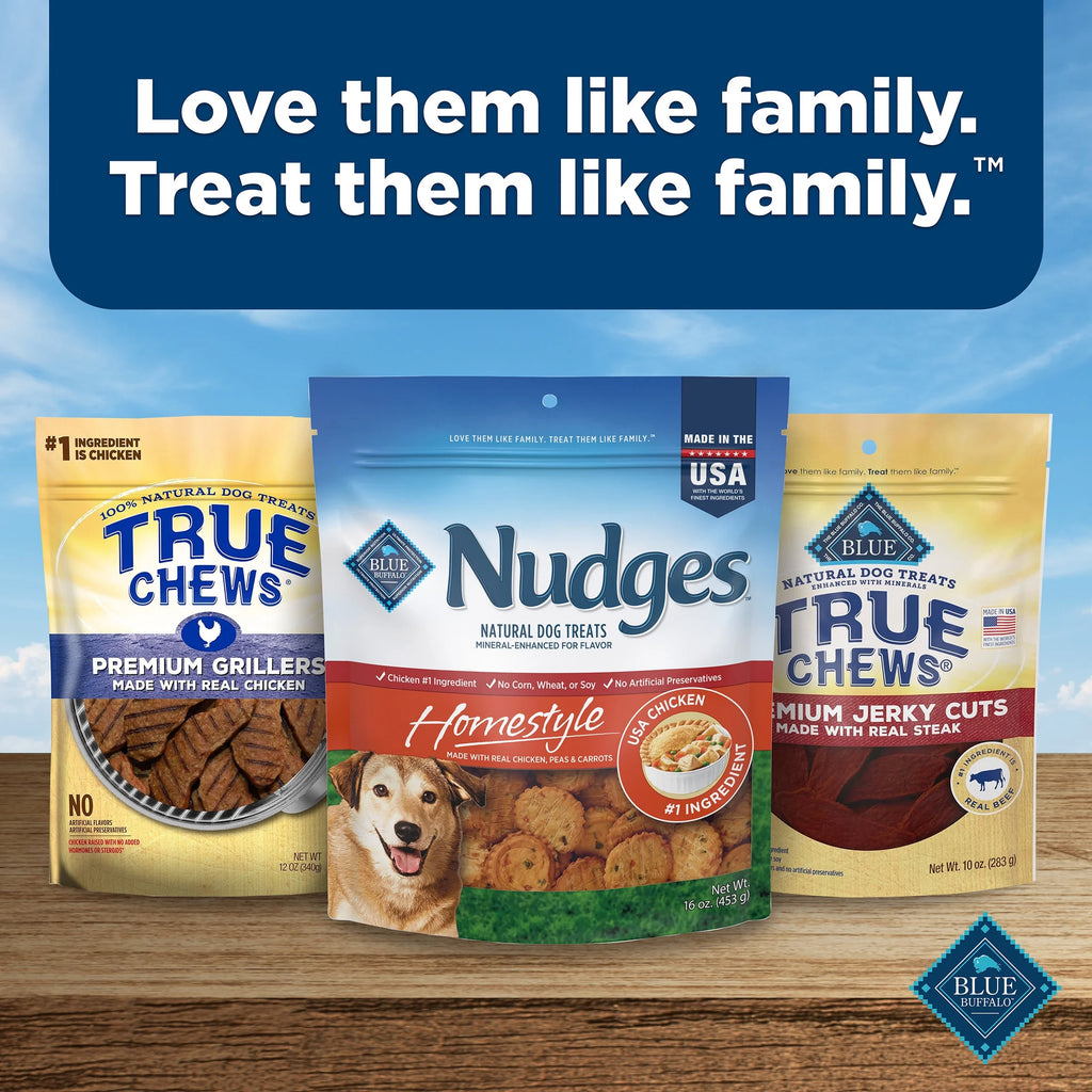 Nudges Homestyle Real Chicken Dog Treats - 16 Oz Bag of Natural Goodness!