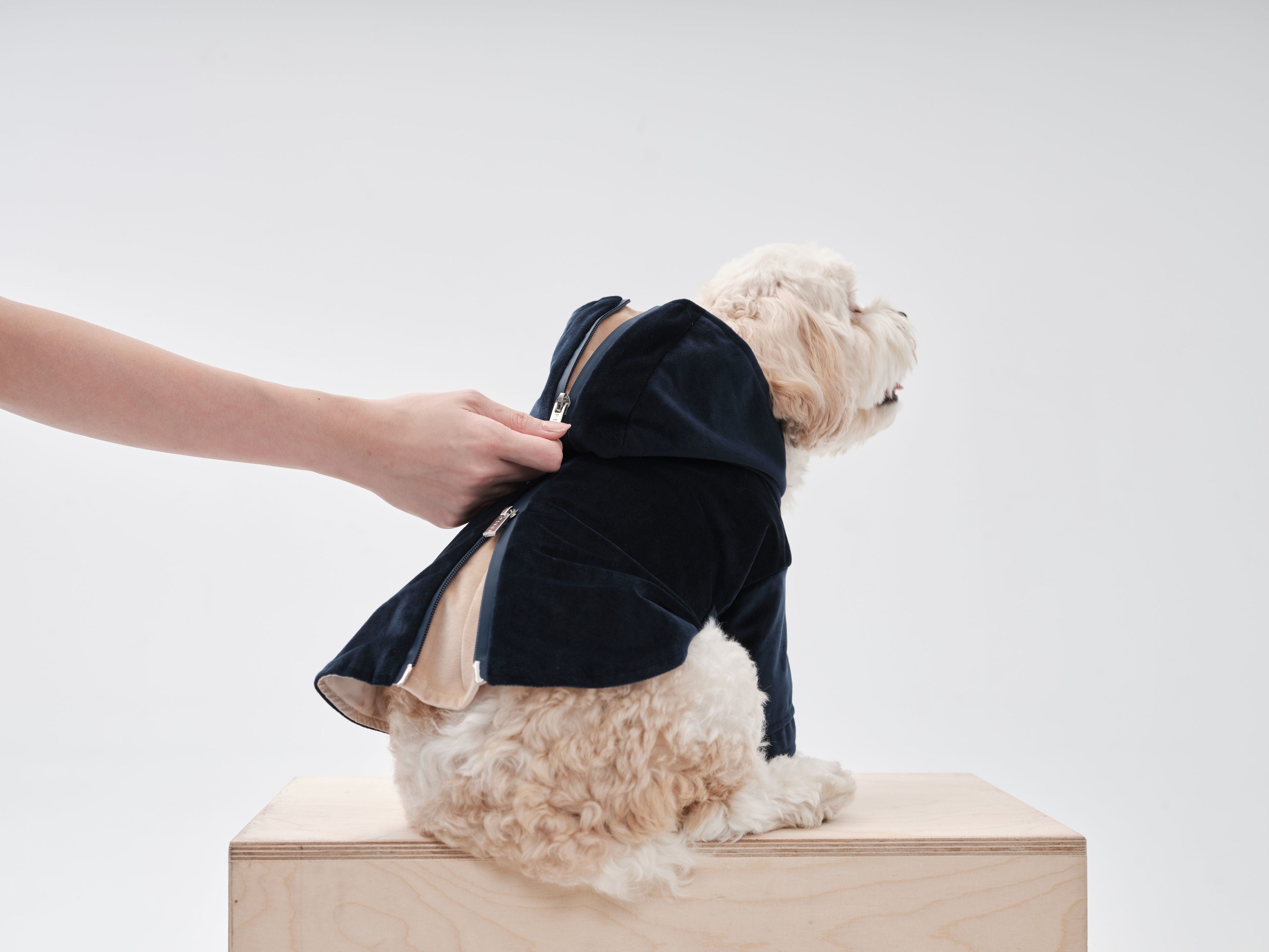 HUSTON HOODIE - MIDNIGHT BLUE - ThrivingPets