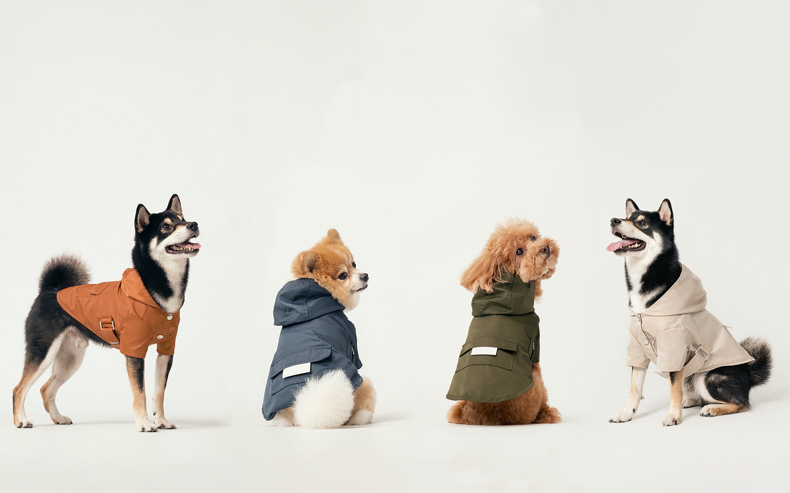 BOWERY RAINCOAT - GREEN - ThrivingPets